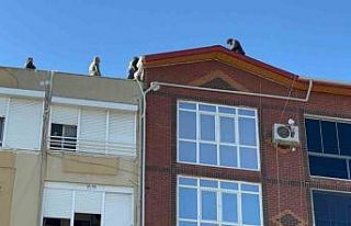 Dişlerini yaptıramadığı için çatıya çıktı,...