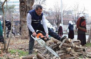 Diyarbakır’da 24 bin 833 ağaç budandı
