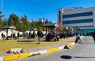 Diyarbakır’da köpek saldırısına uğrayan çocuk...