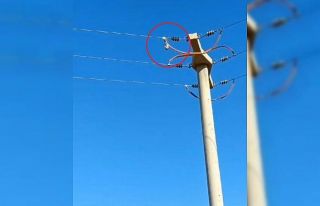 Diyarbakır’da yüksek gerilim hattına takılan...