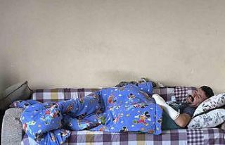 Domuzların saldırdığı çobanı köpekleri kurtardı