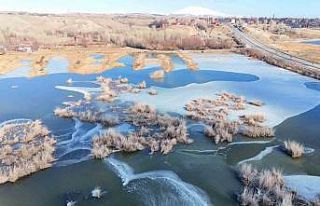 Donan Vali Uğur Boran Kuş Cenneti havadan görüntülendi