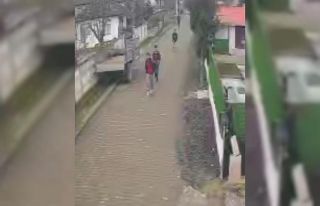 Düzce’de 23 kaçak göçmen yakalandı