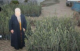 Eceabat’ta orman yangınlarından etkilenen üreticilere...