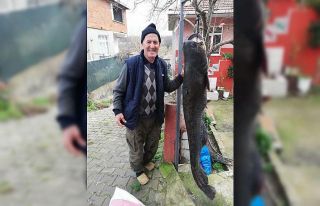 Edirne’de 1,78 metre yayın balığı yakalandı