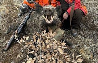 Elazığ’da avcılar 250 kiloluk domuz avladı