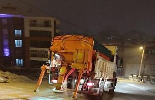 Elazığ’da buzlanmaya karşı tuzlama çalışması