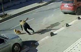 Elinden kaçan köpeğini yakalamak isterken az kalsın...