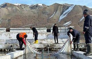 Erzincan Türkiye’nin en büyük Avrupa’nın ise...