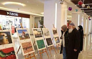 Erzincan’da 14. Uluslararası Tarım, Orman ve İnsan...