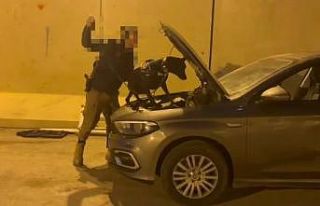 Erzincan’da "Asena-Analiz" operasyonu!