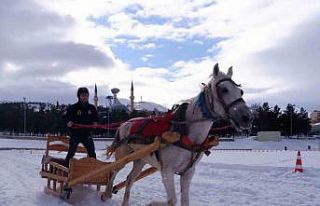 Erzurum’da atlı kızak heyecanı