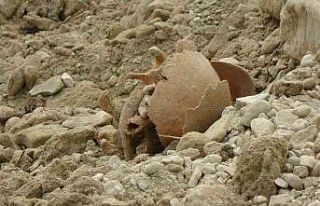 Eski Burdur Belediye Başkanı Akkaya: "Kazılarda...