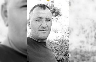 Fidan dikmeye giderken canından oldu