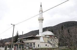 Firar eden ayı için camilerden anons yapıldı