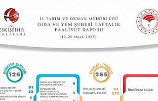 Gıda ve Yem Şubesi tarafından yapılan 126 denetimde...