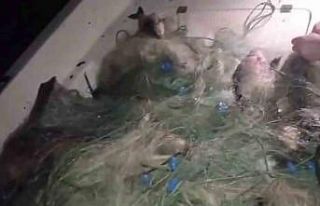 Gökpınar Barajına bırakılan kaçak ağlar toparlanıyor