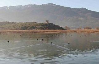 Göller Yöresi’ndeki su kuşu sayımları ekosistem...