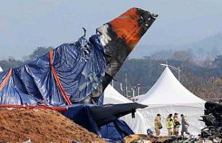Güney Kore’de kaza yapan uçağın motorlarında...