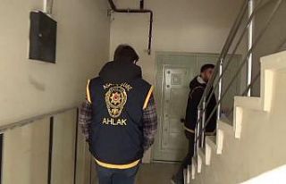 Günübirlik kiralanan evler ve kiralık araç firmaları...