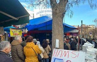 Hamsi rekabetinde fiyat 50 liraya kadar düştü