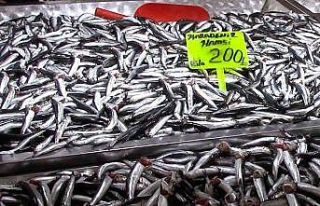 Hamsi yeni yıla ucuzlayarak girdi