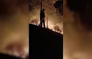 Hatay’da ormanlık alanda çıkan yangın söndürüldü