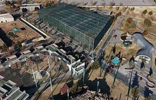 Hayvanat bahçesinde 2024 dolu dolu geçti