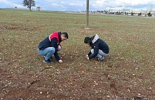 Hububat ekili alanlarda bitki kontrolleri devam ediyor