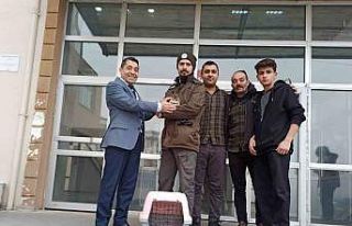 Iğdır’da bitkin halde bulunan kukumav kuşu tedaviye...