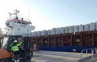 İhracattan dönen patatesler imha edilecek