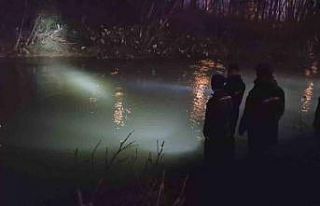 Irmakta mahsur kaldığı düşünülen yunusun, balık...