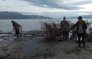 Isparta’da suna ördeklerini vuran şahıs cezadan...