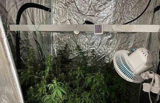 İzmir’de narkotik polisinden zehir tacirlerine...