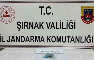 Jandarma yaklaşık 4 milyon liralık kaçakçılığı...