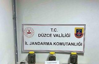 Jandarmadan uyuşturucuya geçit yok