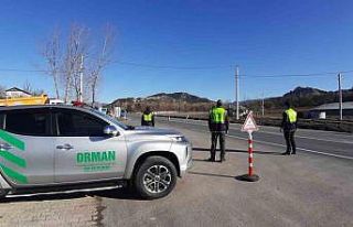 Kaçak orman emvaline karşı denetimler sıkılaştırıldı