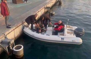 Kadıköy’de denize düşen alkollü olduğu iddia...