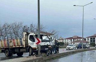 Kamyonet aydınlatma direğine çarptı: 2 yaralı