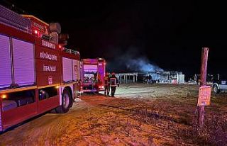 Karasu sahildeki işletme alev topuna döndü