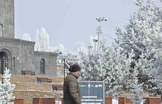 Kars’ta kırağı manzarası mest etti