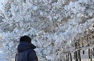 Kars’ta soğuk hava etkisini gösterdi