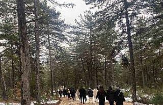 Kastamonu Üniversitesi’nde sigarasız hayata dikkat...