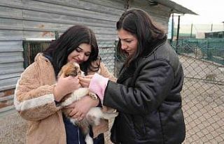 Keçiören Belediyesi Pati Yaşam Köyü’ndeki hayvanların...