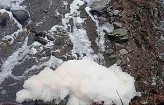 Ketenlik Deresi zehirle kaplandı: Vatandaşlar tepkili