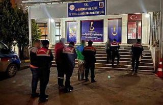 Kırıkkale’de büyükbaş hayvan çalan 4 hırsızlık...