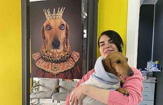 Kış aylarında tıpkı insanlar gibi hayvanlar da...