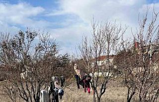 Kış ortasında kuruması için ağaca asılan elbiseler