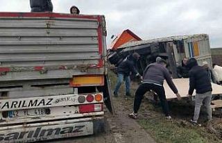 Kontrolden çıkan kamyon tarlaya devrildi