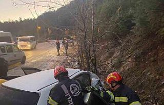 Kontrolden çıkan otomobil ağaca çarparak durabildi;3...